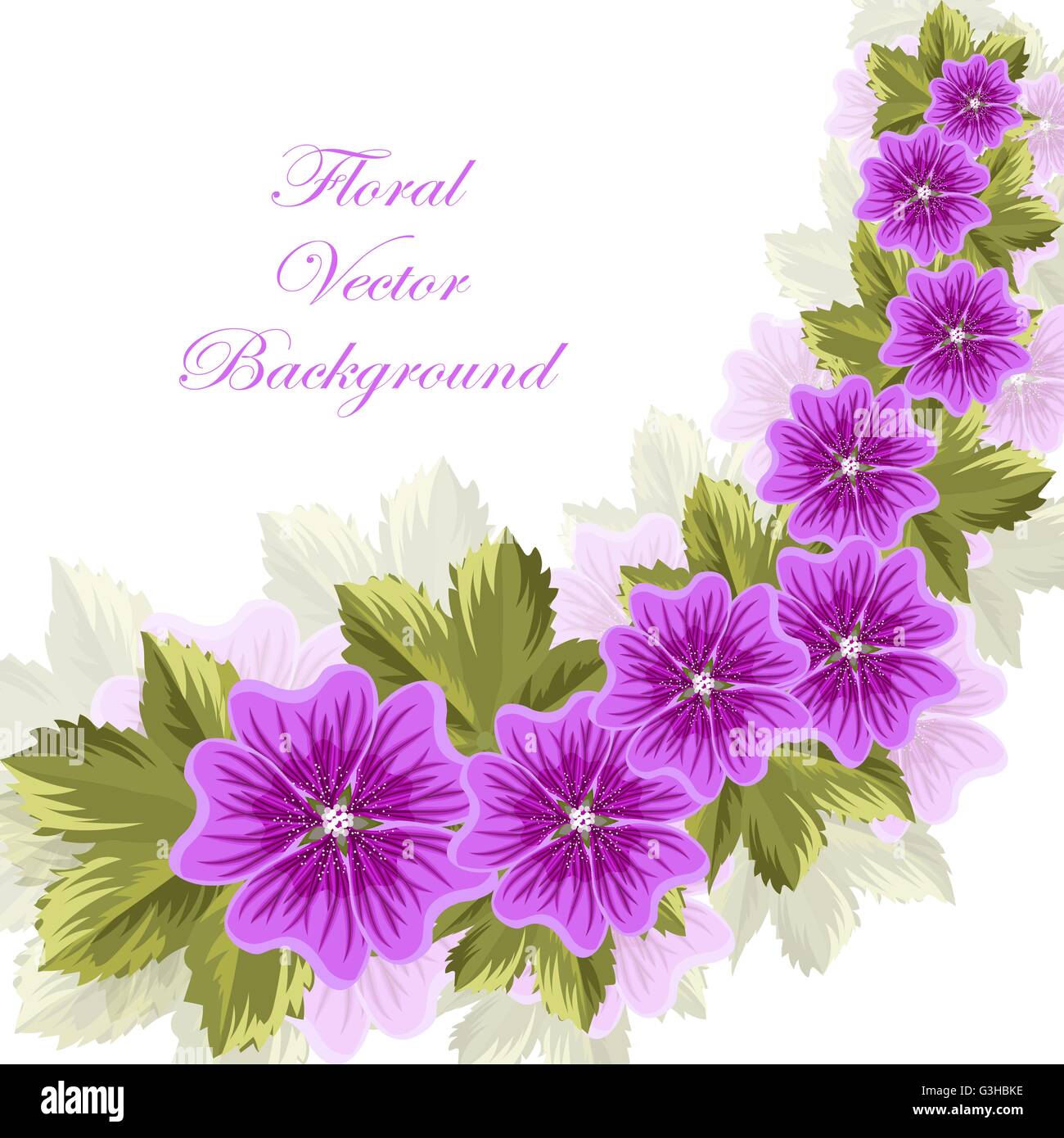 Beautiful mallow flowers with leaves Stock Vector Image & Art - Alamy