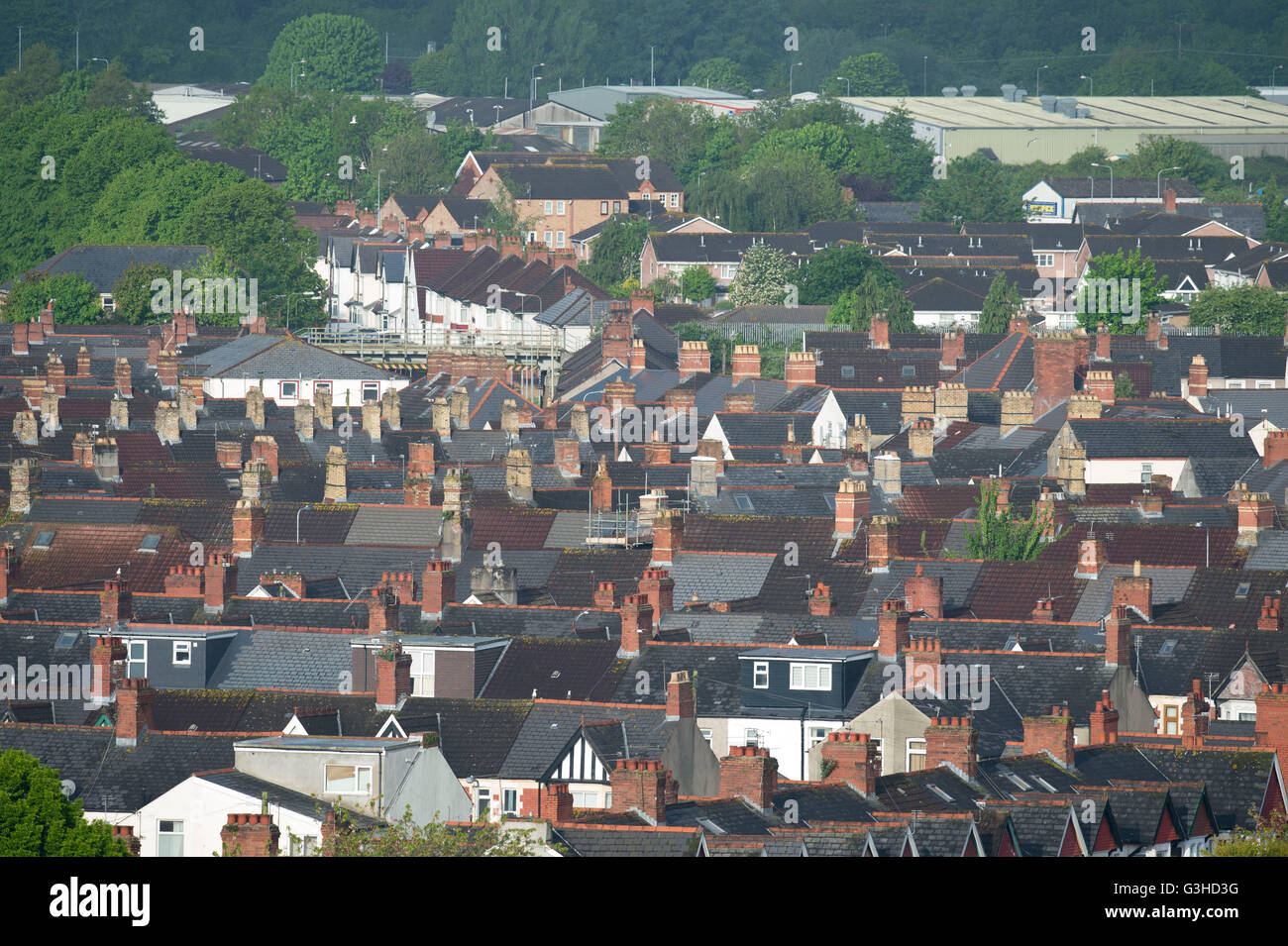 rooftops of houses in grangetown, cardiff, south wales. Stock Photo