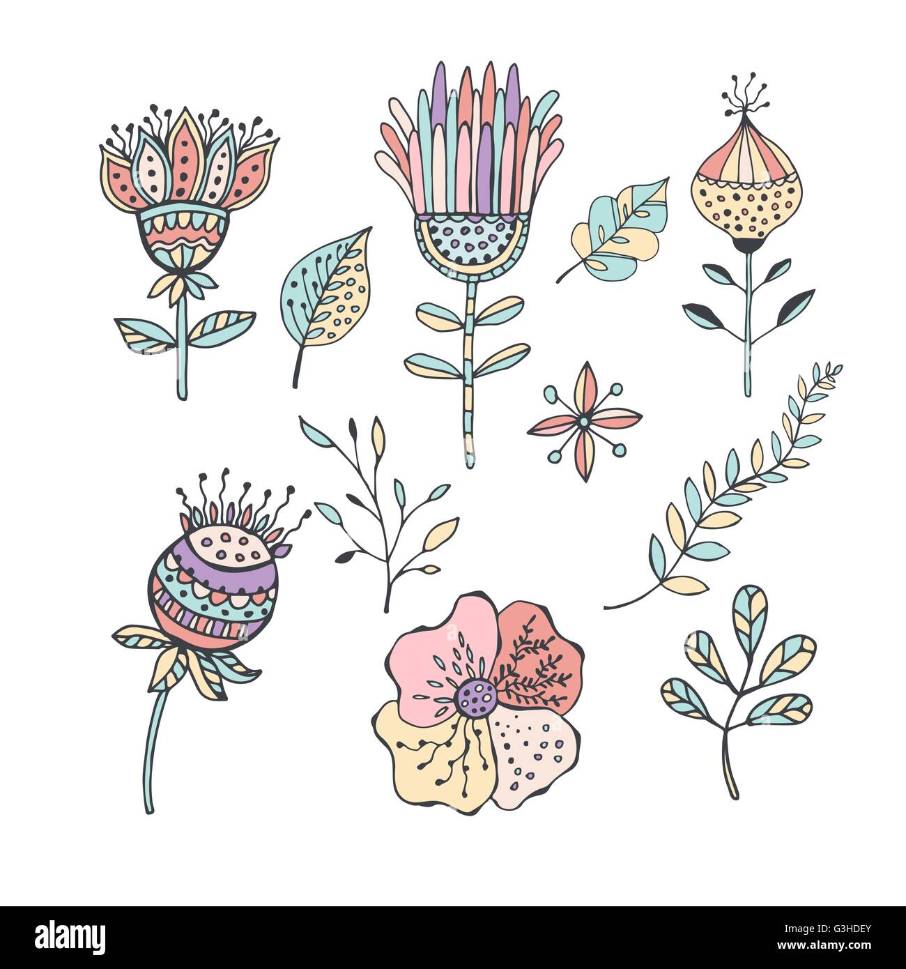 set of floral elements Stock Vector Image & Art - Alamy