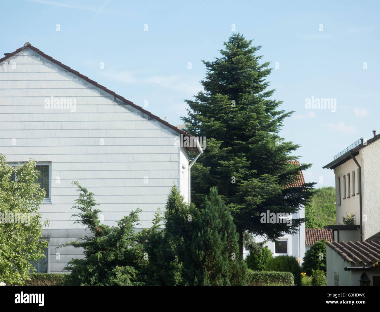 small old house in germany city crailsheim with one tree Stock Photo
