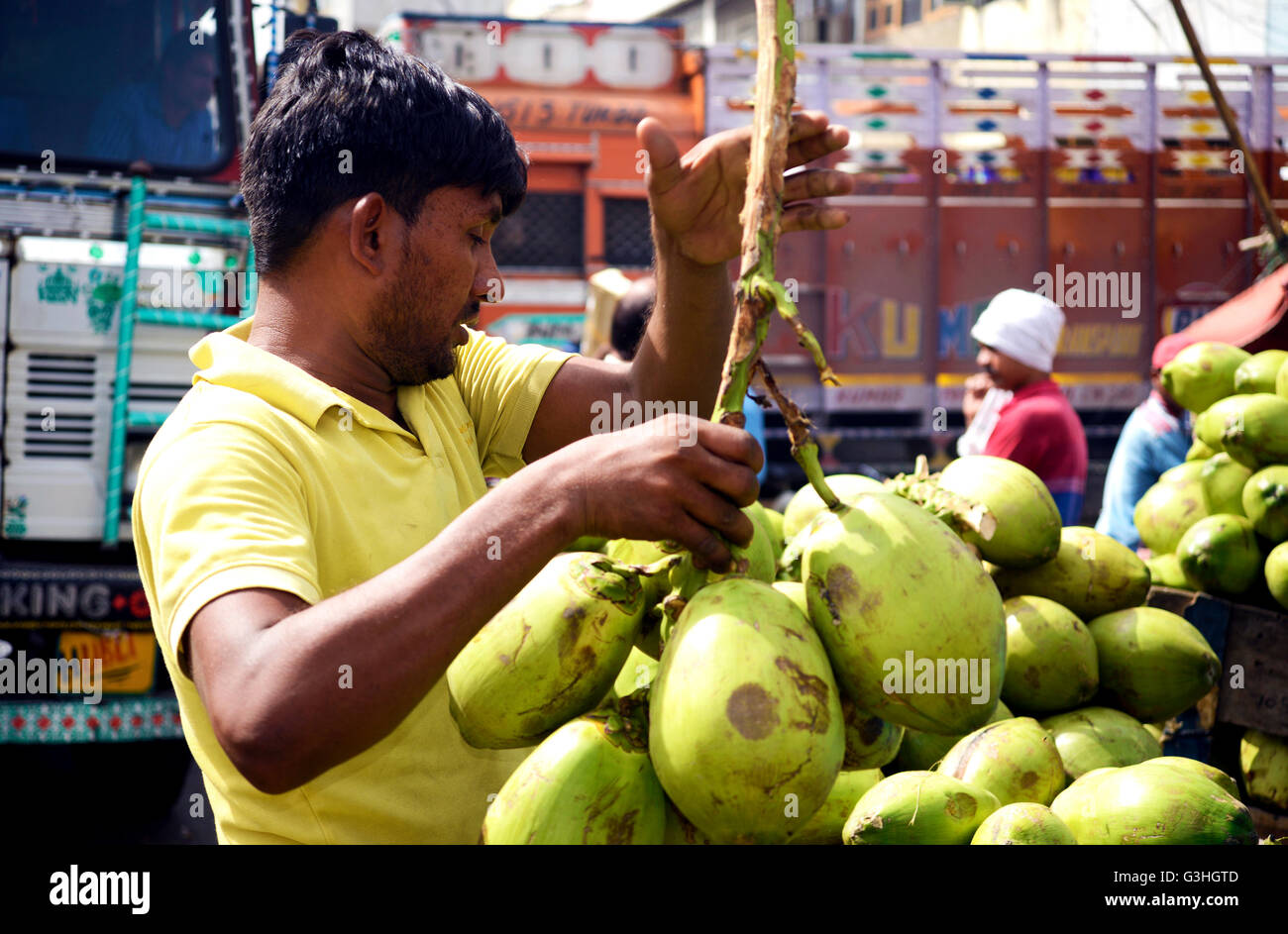 Coconut at Indian fruit Market Stock Photo Alamy