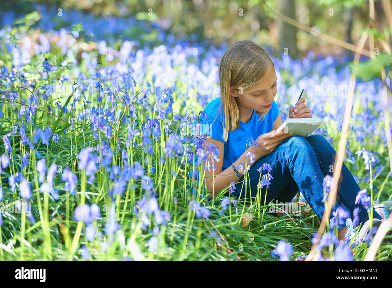 Girl watercolour painting in bluebell forest, Hallerbos, Brussels, Belgium Stock Photo