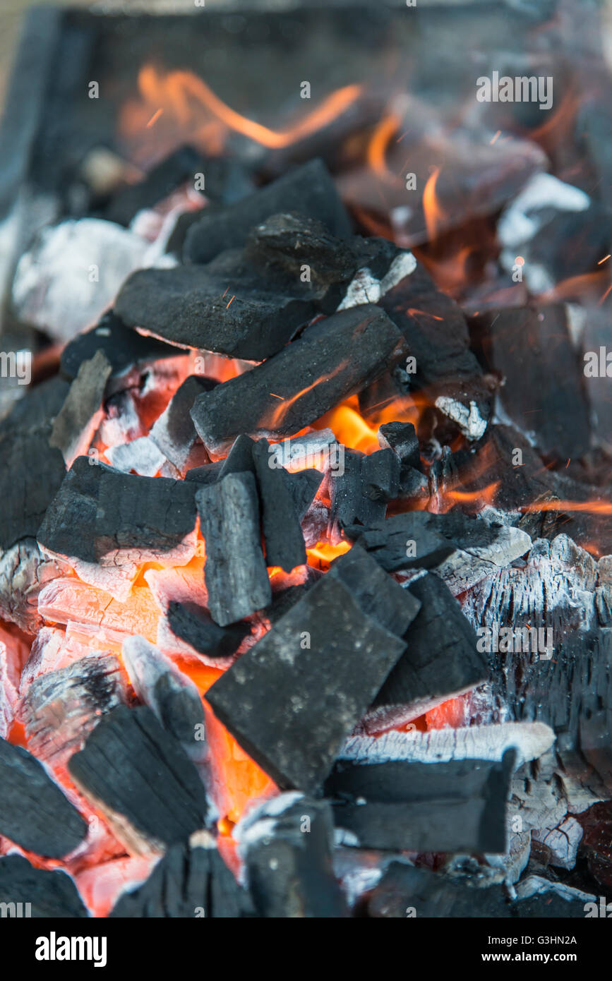 Fire burning coals Stock Photo Alamy