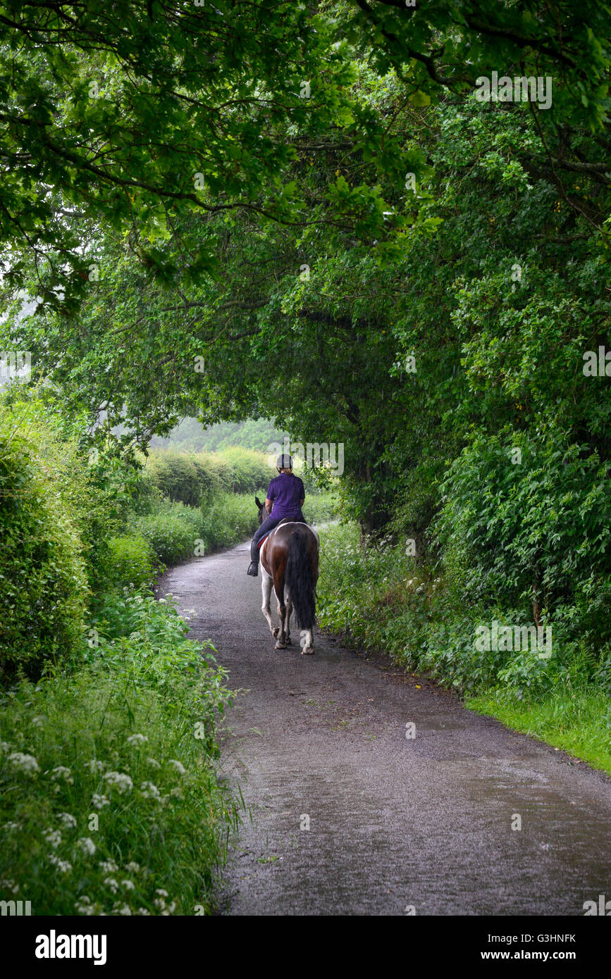 Horse rider on a country lane on a rainy summer day Stock Photo Alamy
