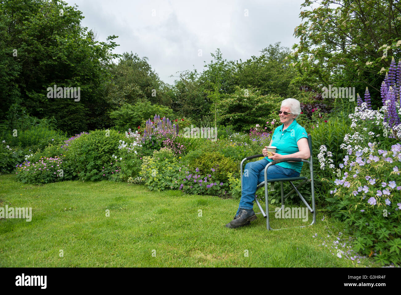 A mature woman sits in a country garden surrounded by full flower borders. She sits relaxing with a cup of tea. Stock Photo