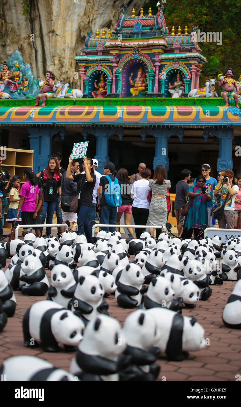 Volunteers informing the crowd the closing of 1600 Pandas campaign at ...