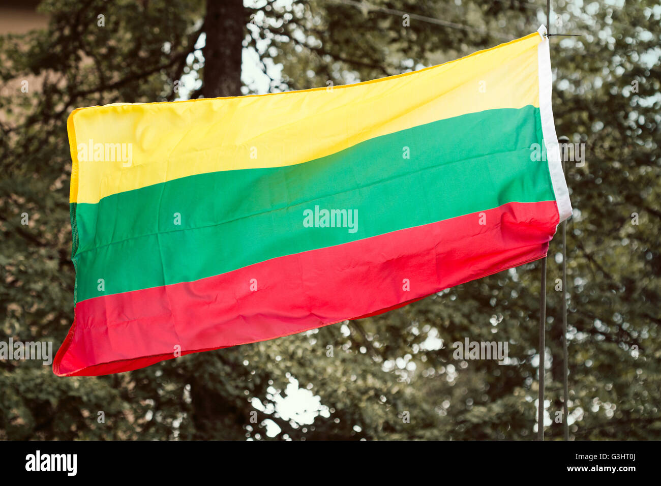 Lithuanian national flag waving on trees background Stock Photo