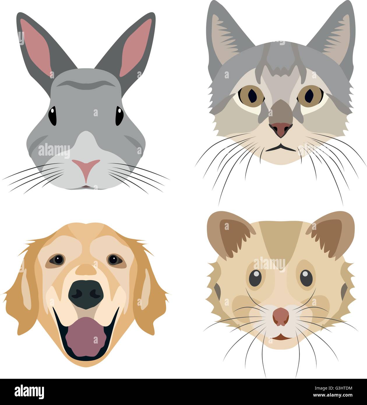 Collection of domestic animal heads for the creative use in graphic design Stock Vector