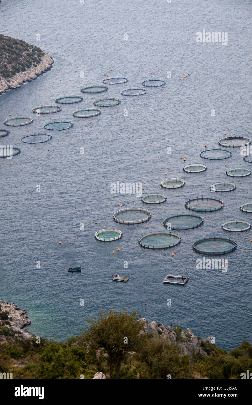 Aquaculture farms Stock Photo
