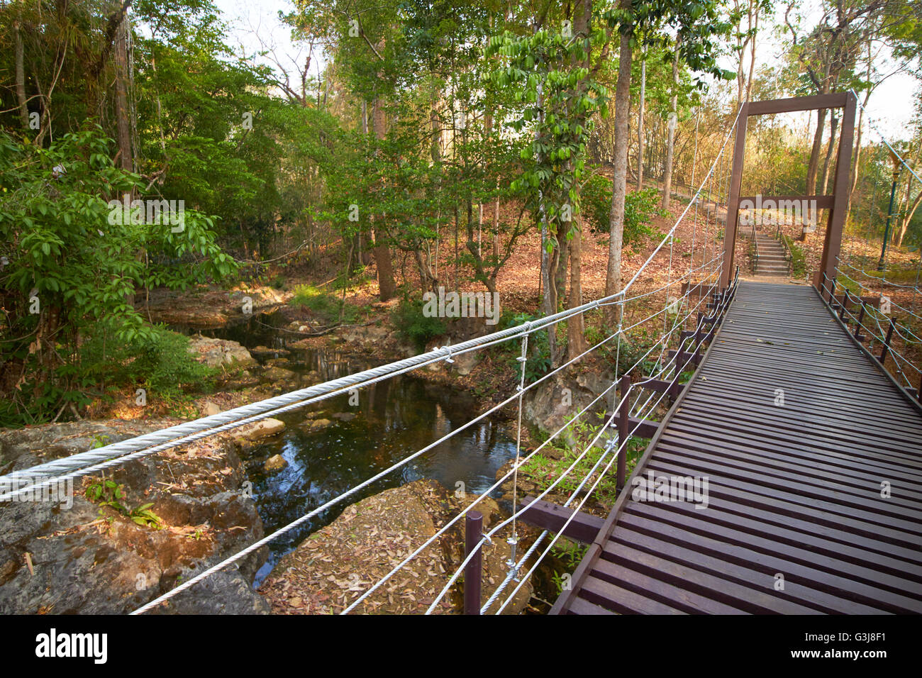 bridge over the river forest Stock Photo - Alamy