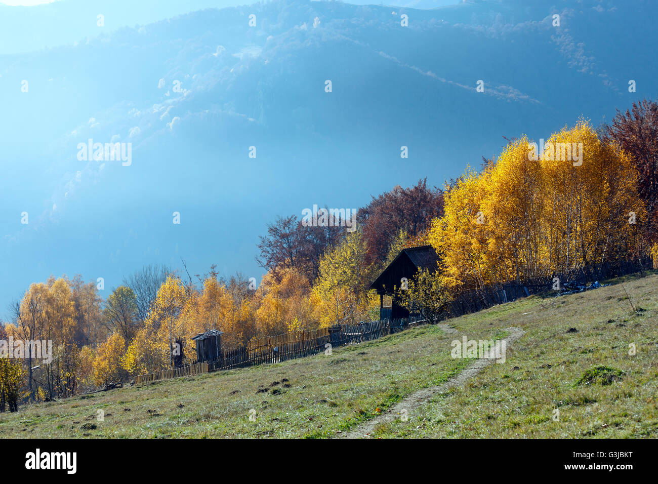 Autumn misty mountain slope with wooden structures behind fence and yellow birch trees. Stock Photo