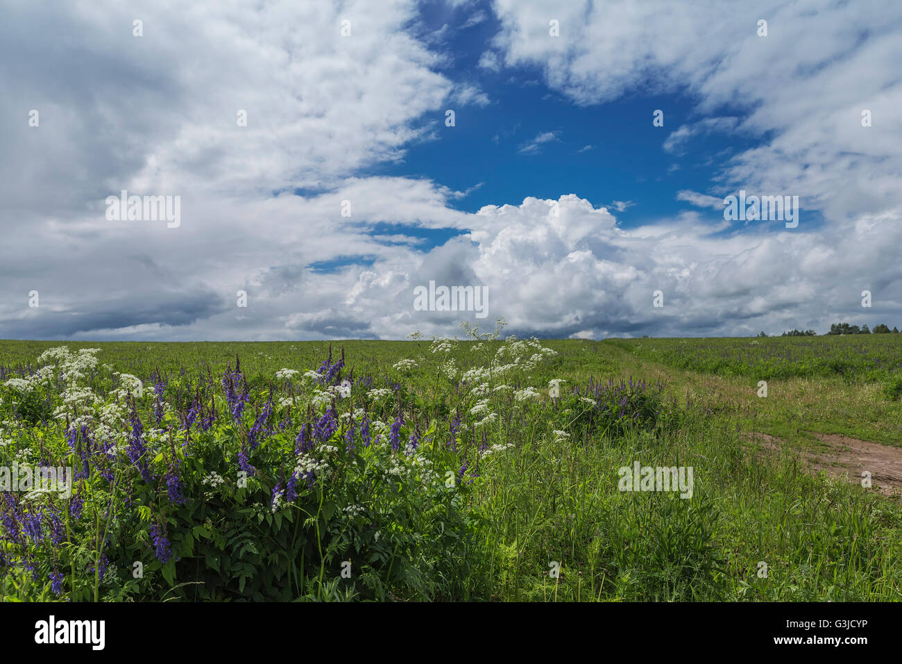 Landscape with storm clouds in the countryside in spring Stock Photo ...