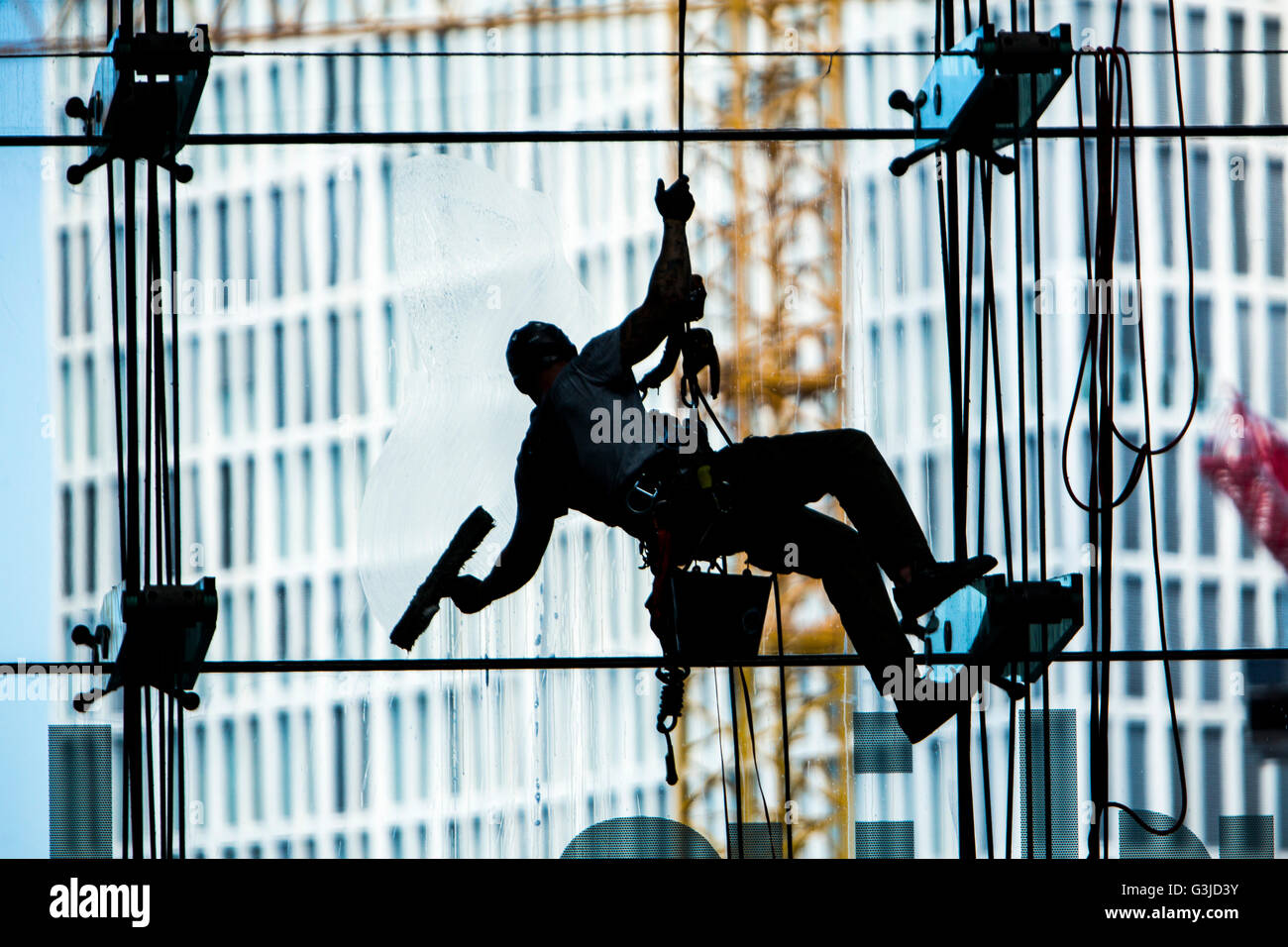 Window cleaner, hanging on rope, cleans a large glass facade, industrial climbers, Stock Photo