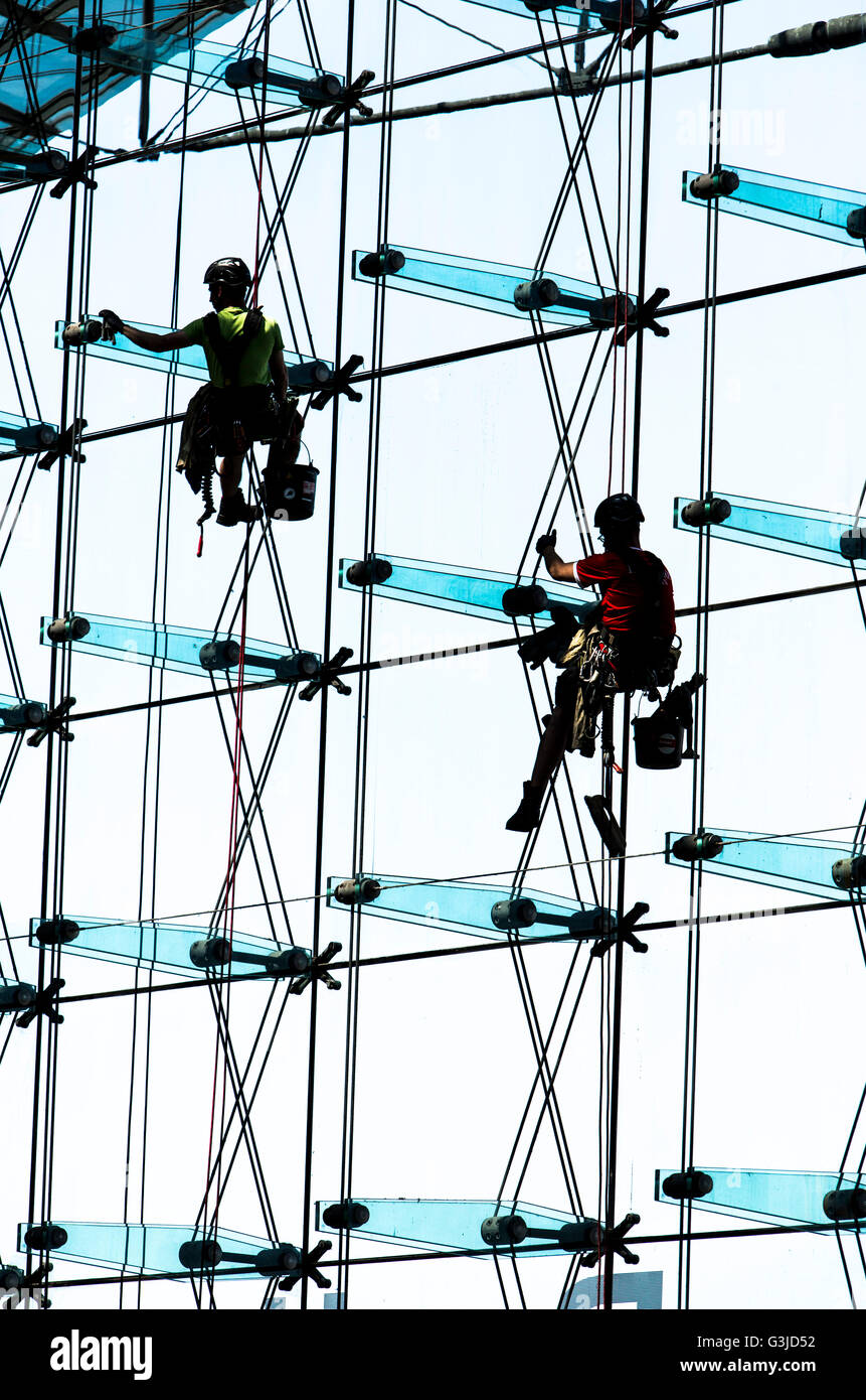Window cleaner, hanging on rope, cleans a large glass facade, industrial climbers, Stock Photo