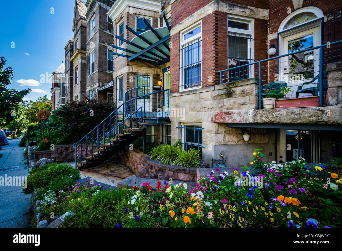 Gardens and houses in Adams Morgan, Washington, DC. Stock Photo