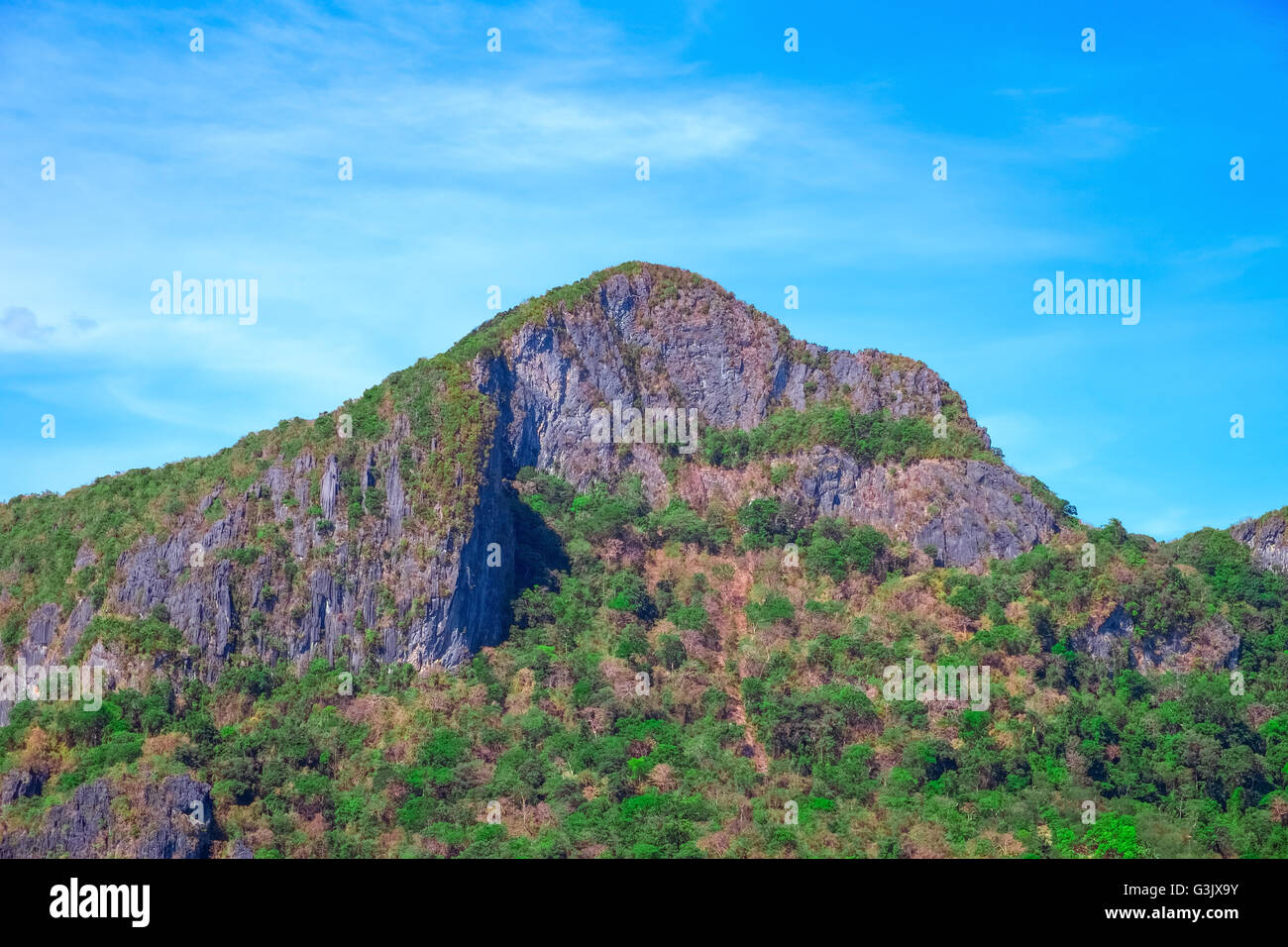 Mountain with green tropical forest, Palawan, Philippines Stock Photo