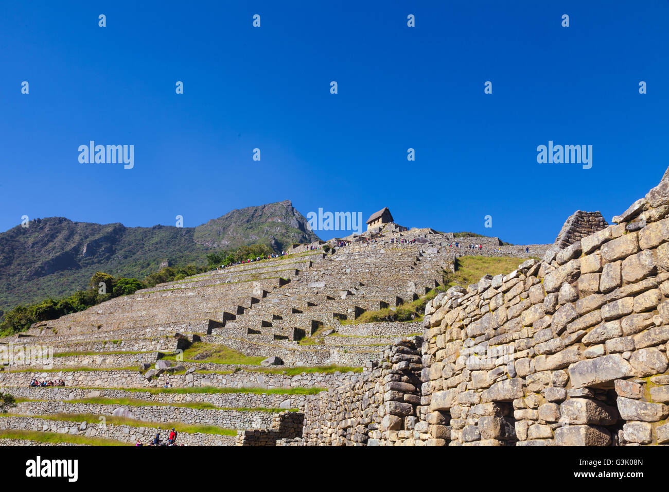 Agricultural machu picchu hi-res stock photography and images - Alamy