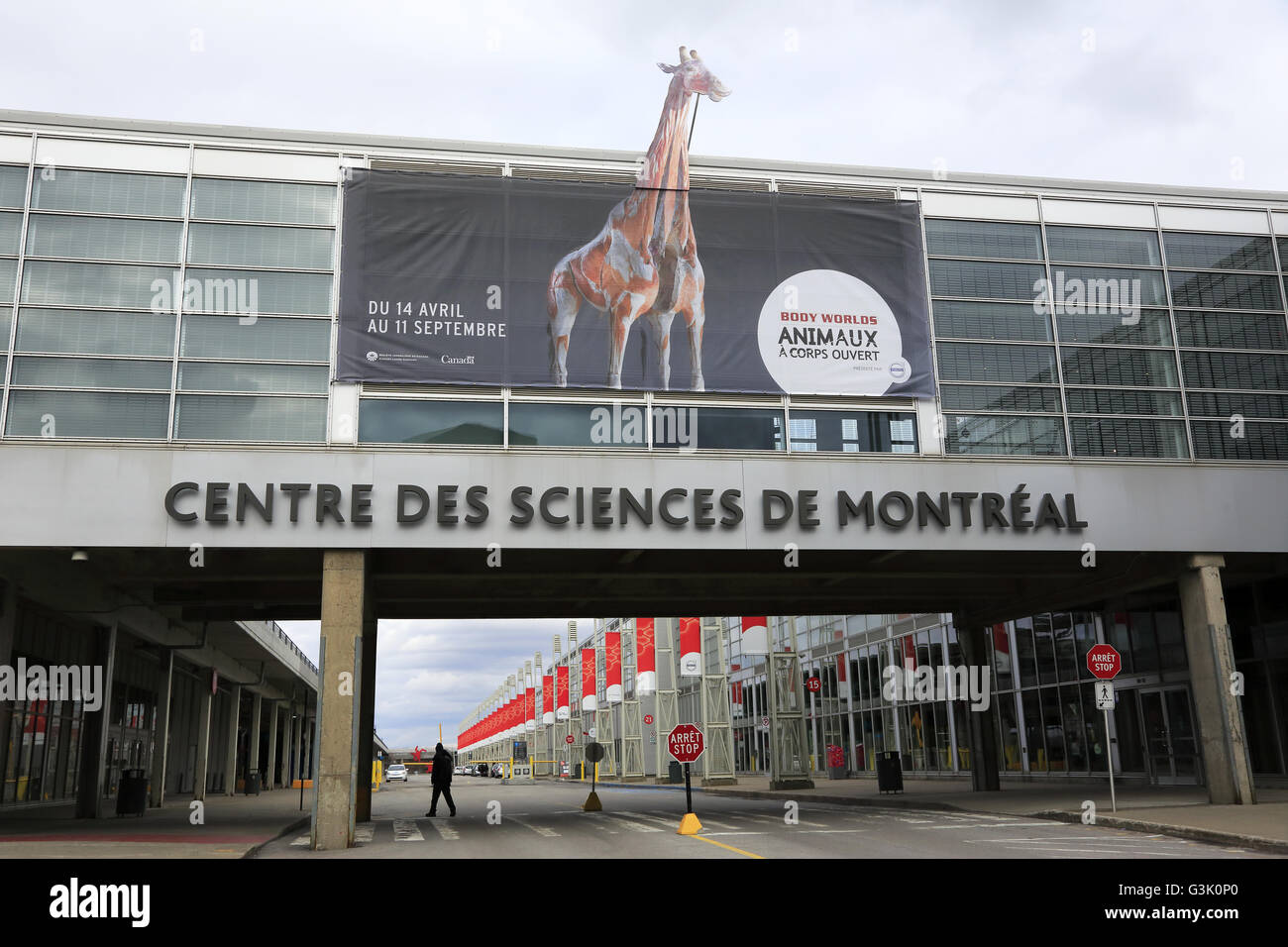 Montreal Science Center (Centre des Sciences de Montreal) in Old Port