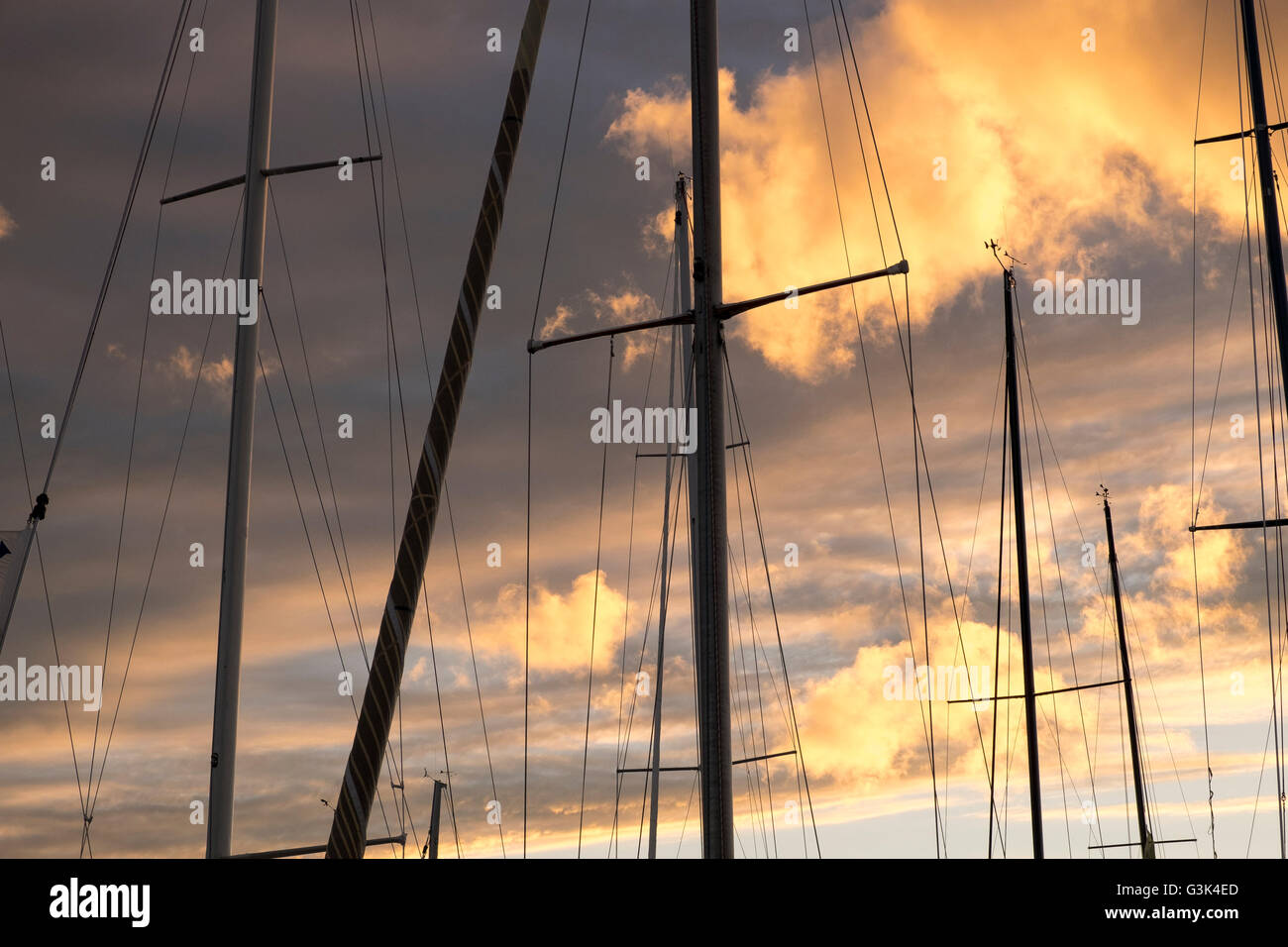 Sailboat masts silhouetted against sunset Stock Photo - Alamy