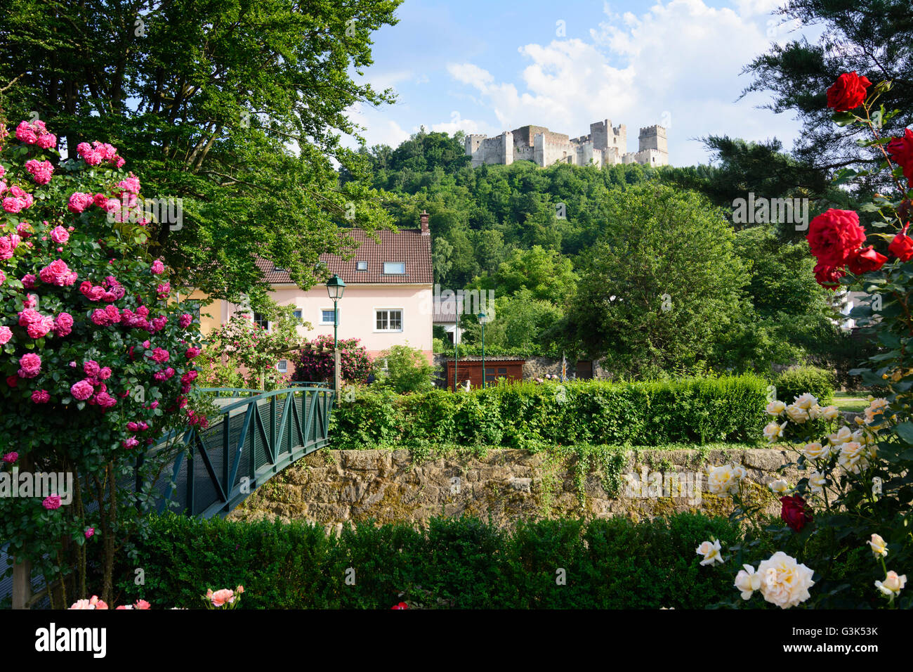 rose garden, bridge over the Zöbernbach and view to the castle ruins, Austria, Niederösterreich, Lower Austria, Wiener Alpen, Ki Stock Photo