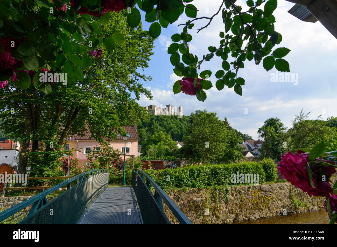 rose garden, bridge over the Zöbernbach and view to the castle ruins, Austria, Niederösterreich, Lower Austria, Wiener Alpen, Ki Stock Photo