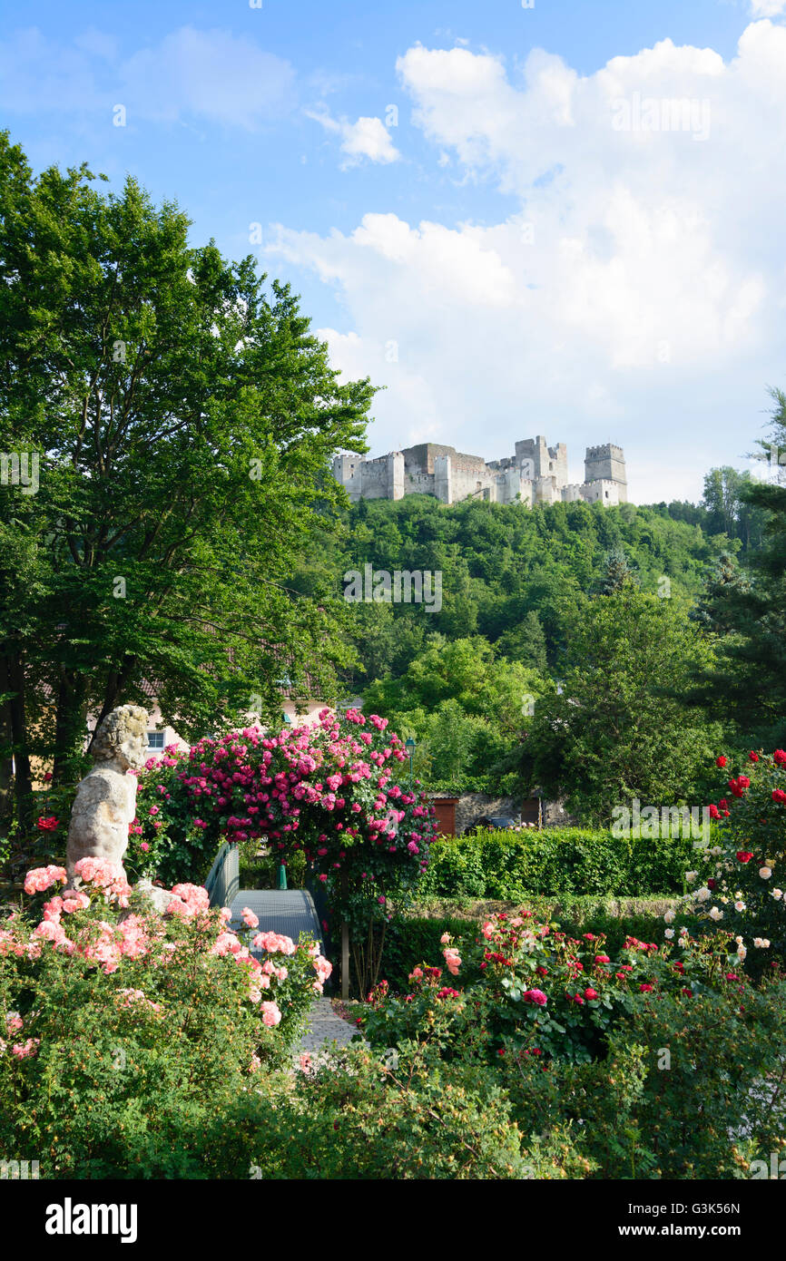 rose garden, bridge over the Zöbernbach and view to the castle ruins, Austria, Niederösterreich, Lower Austria, Wiener Alpen, Ki Stock Photo