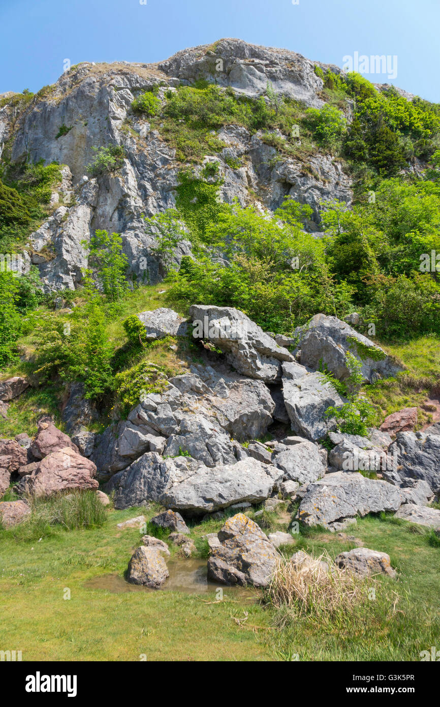 Humphrey Head a limestone outcrop inear Flookburgh in the north of