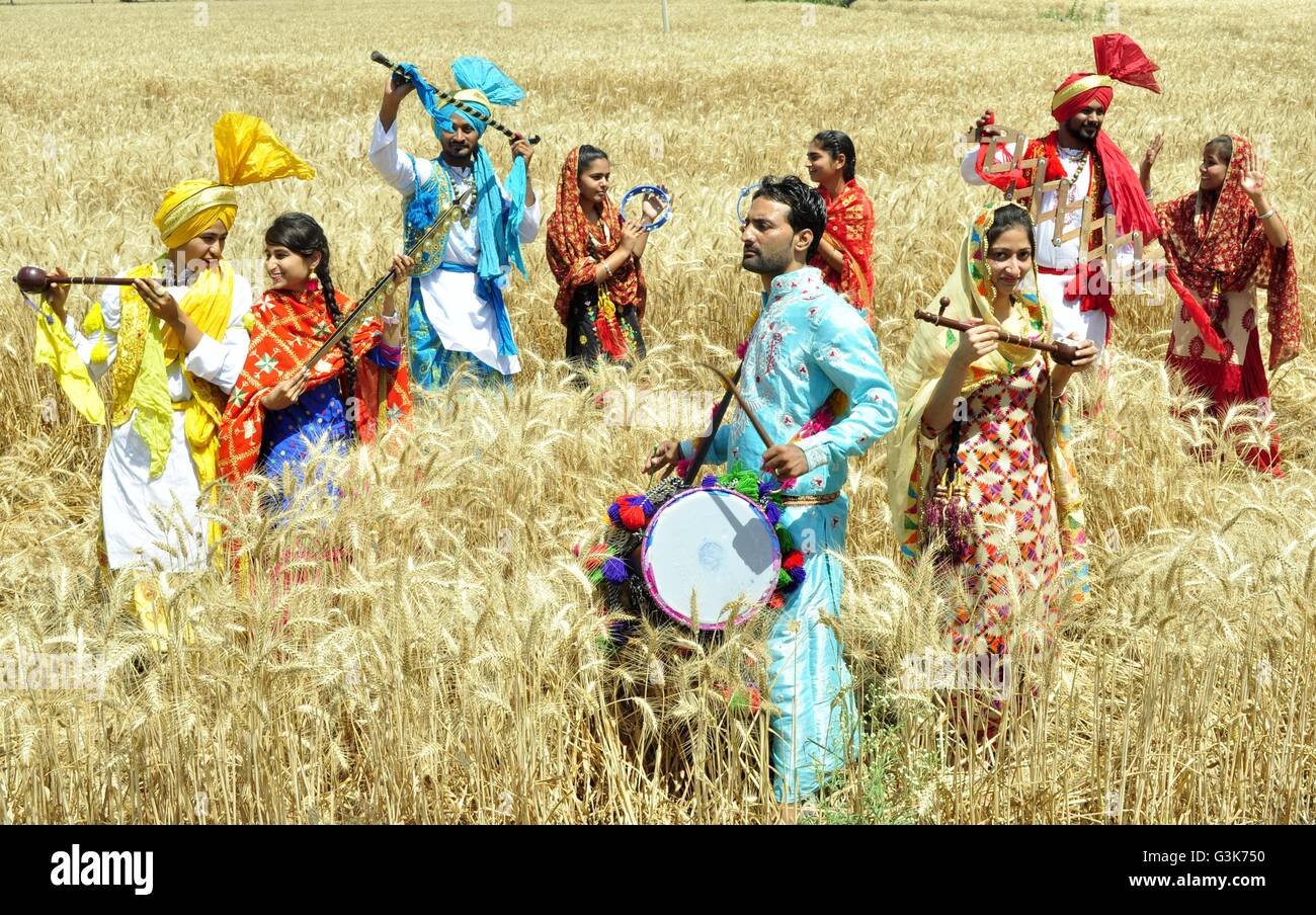 Patiala, India. 12th Apr, 2016. College students perform the 'Bhangra', a Punjabi folk dance, in a filed of Wheat on the eve of Vaisakhi at village Baran, Sirhind road. Vaisakhi is the festival of the first harvest of the year right after the winter season. © Rajesh Sachar/Pacific Press/Alamy Live News Stock Photo