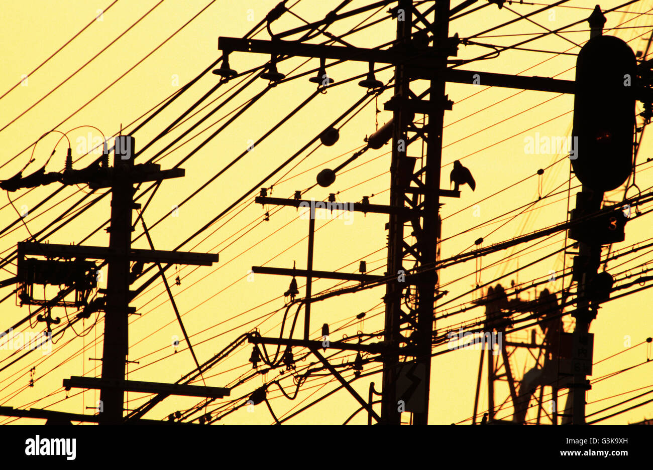 energy, electric power lines Stock Photo Alamy