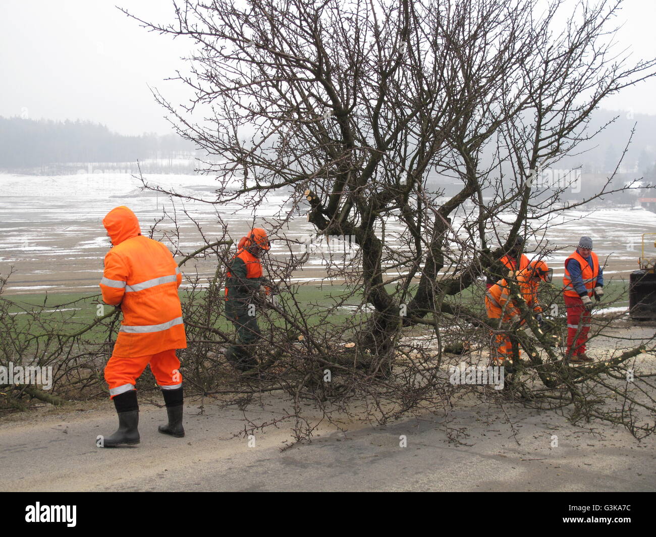 Highway calamity, high winds, tree over road Stock Photo
