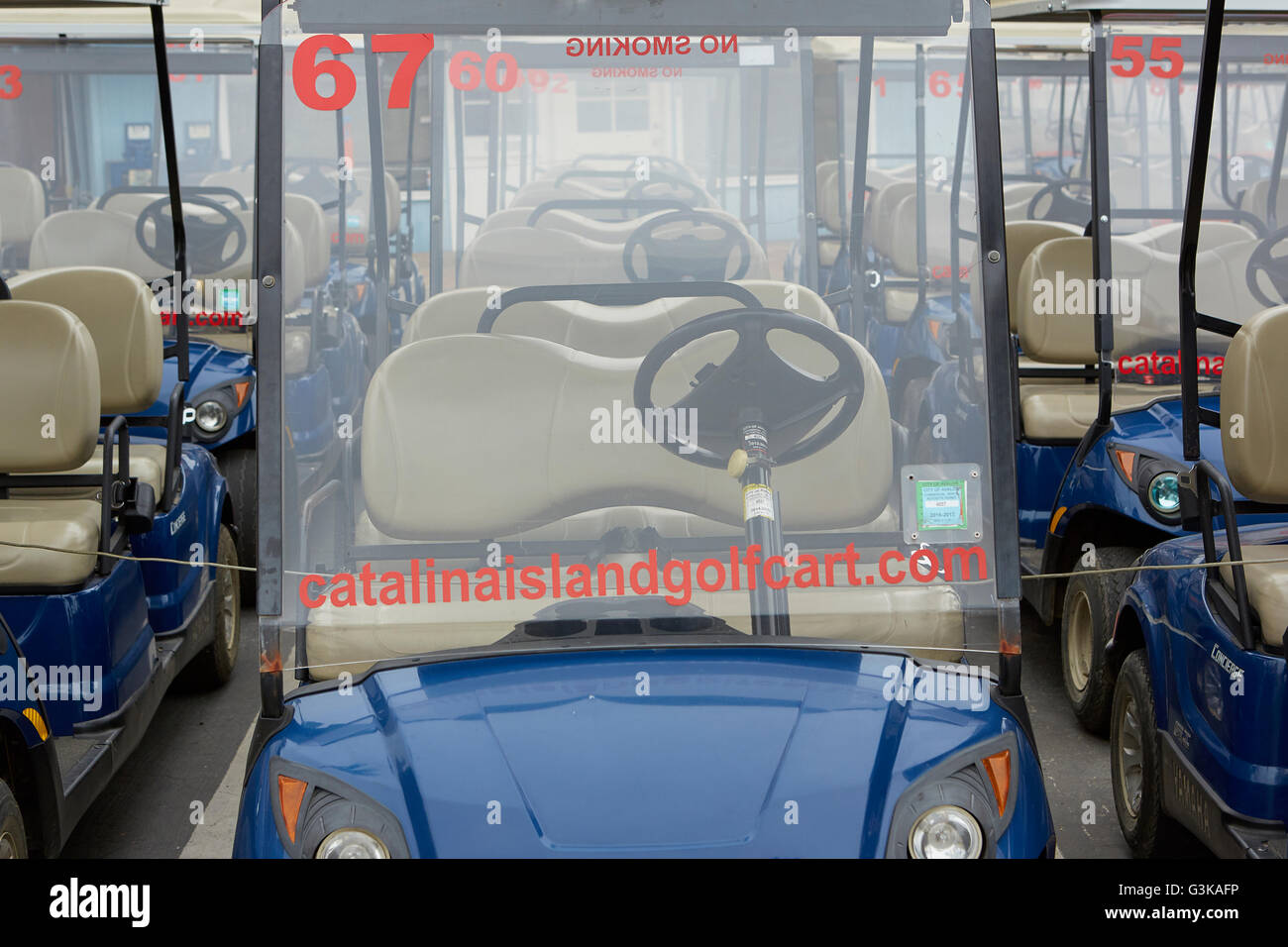 Rental Golf Carts In Avalon, Santa Catalina Island, California Stock