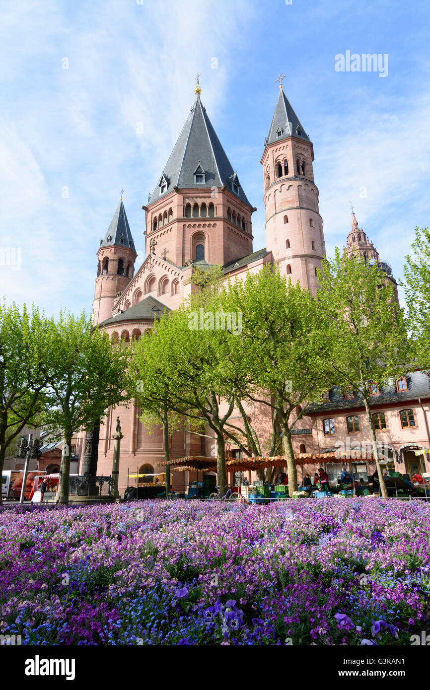 St. Martin's Cathedral, weekly market, Germany, Rheinland-Pfalz, Rhineland-Palatinate, , Mainz Stock Photo