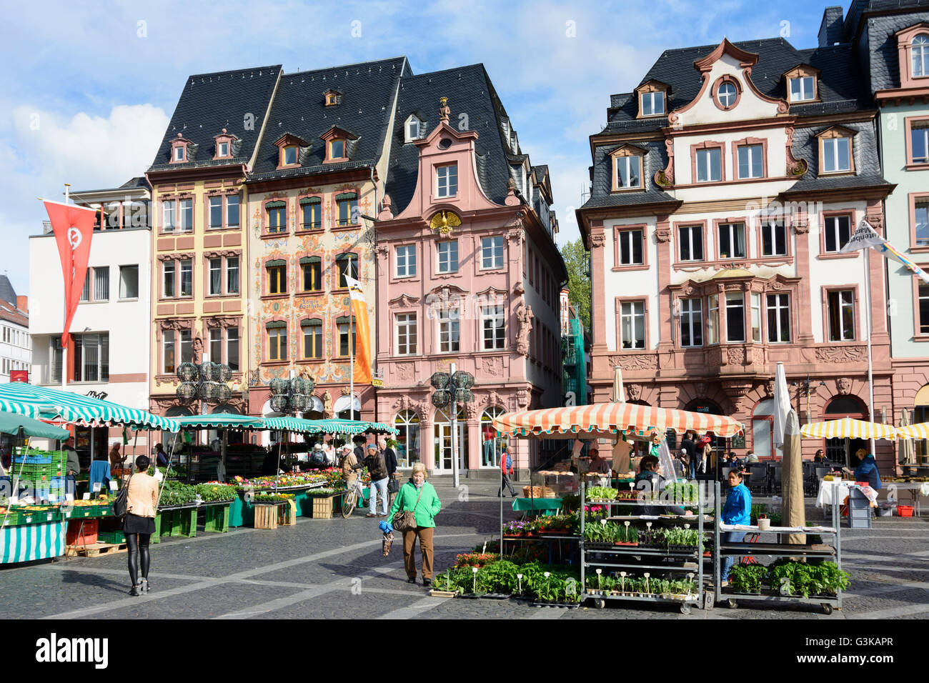 Market houses on the market and farmer's market, Germany, Rheinland-Pfalz, Rhineland-Palatinate, , Mainz Stock Photo