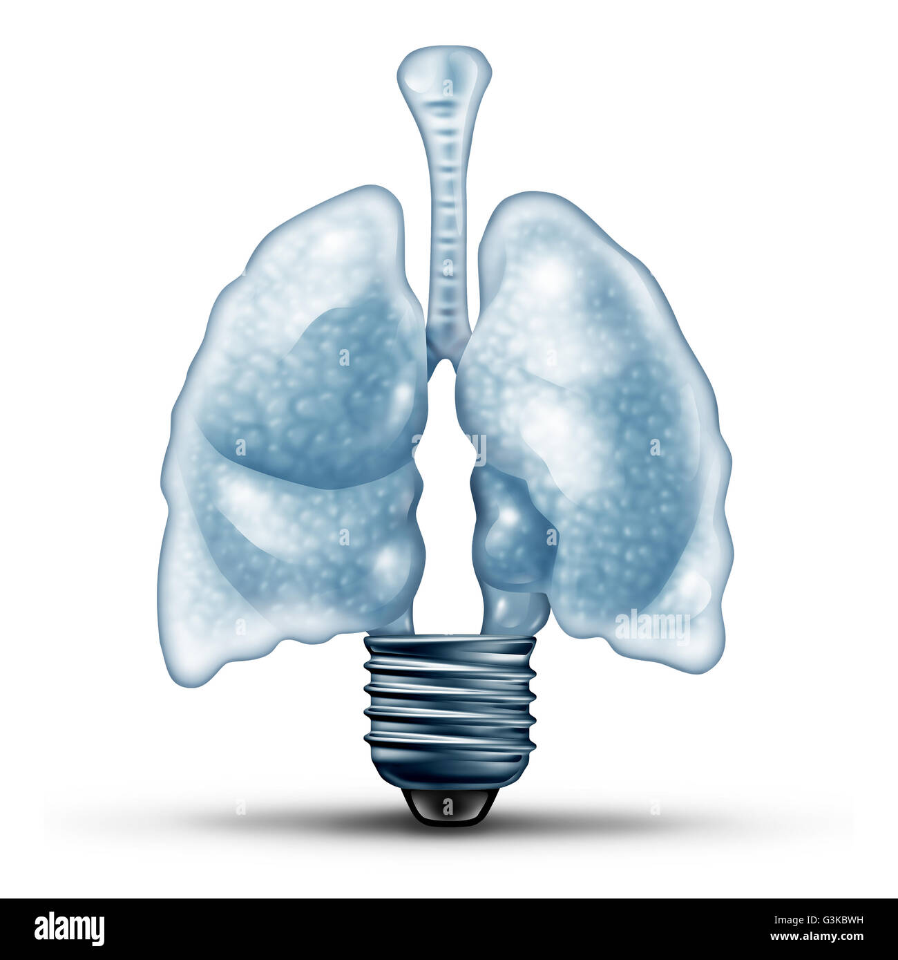 Lung health ideas as a human cardiovascular organ shaped as a lightbulb or light bulb as a medical metaphor for diseases of the Stock Photo