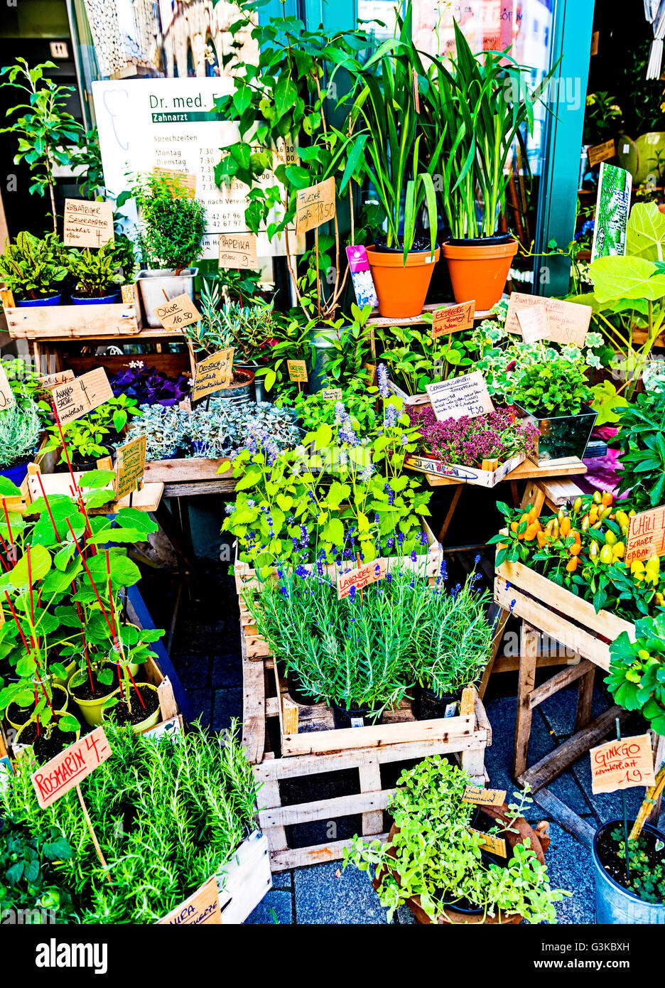 Plants at a market stall; pflanzen an einem Marktstand Stock Photo