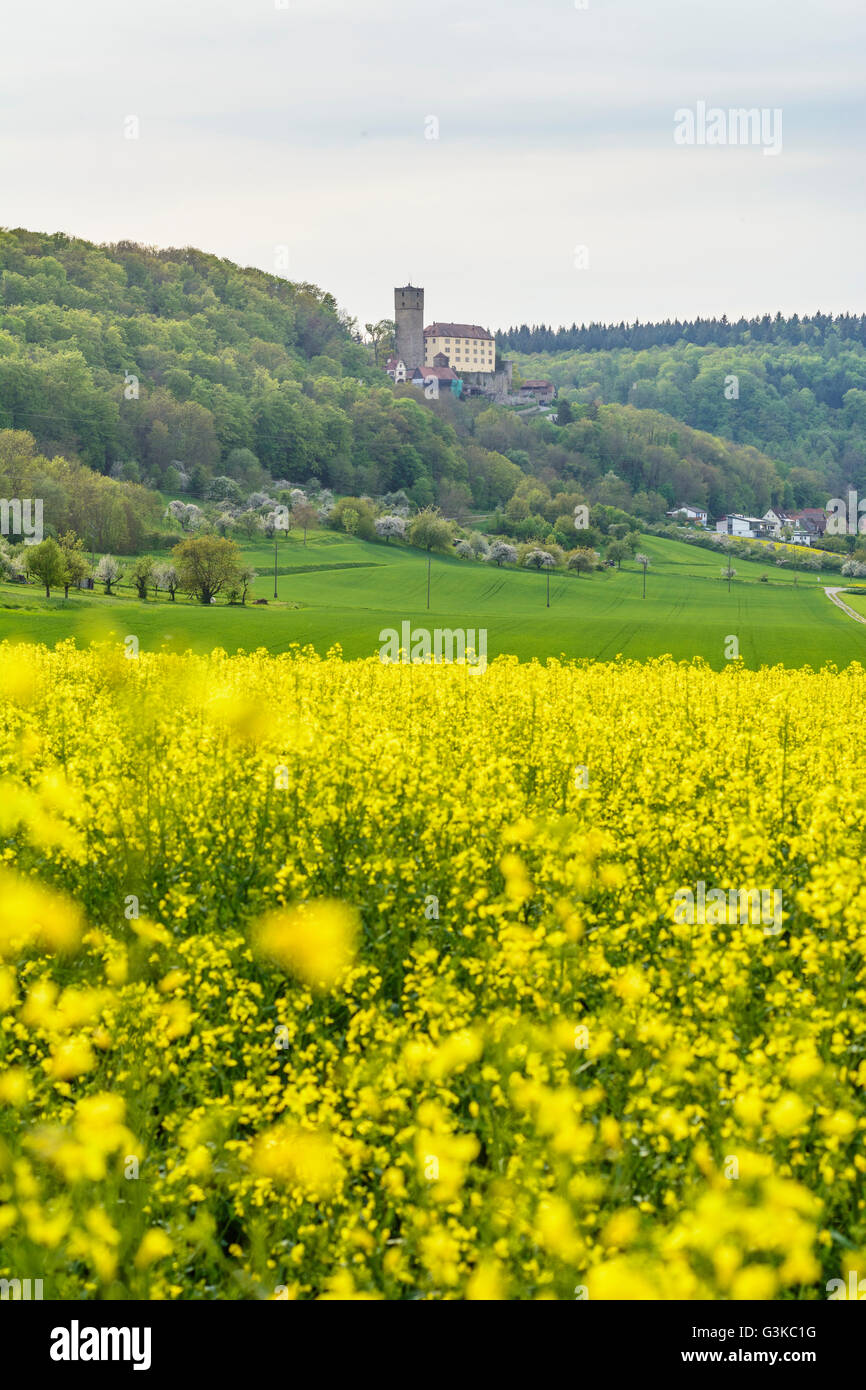Guttenberg Castle, rapeseed field, Germany, Baden-Württemberg, Heilbronner Land, Haßmersheim Stock Photo