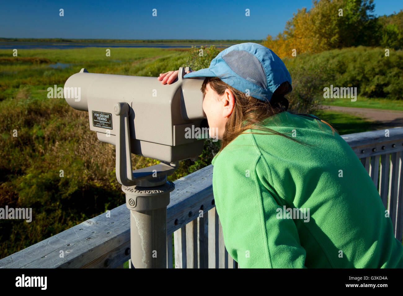 Rice Lake Observation Tower, Rice Lake National Wildlife Refuge