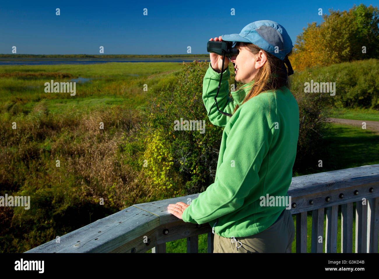 Rice Lake Observation Tower, Rice Lake National Wildlife Refuge