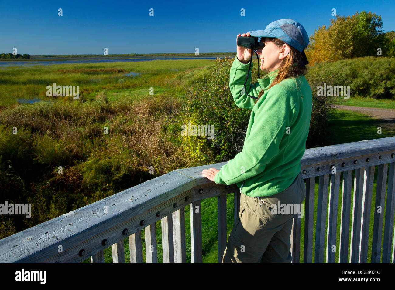 Rice Lake Observation Tower, Rice Lake National Wildlife Refuge, Minnesota Stock Photo Alamy