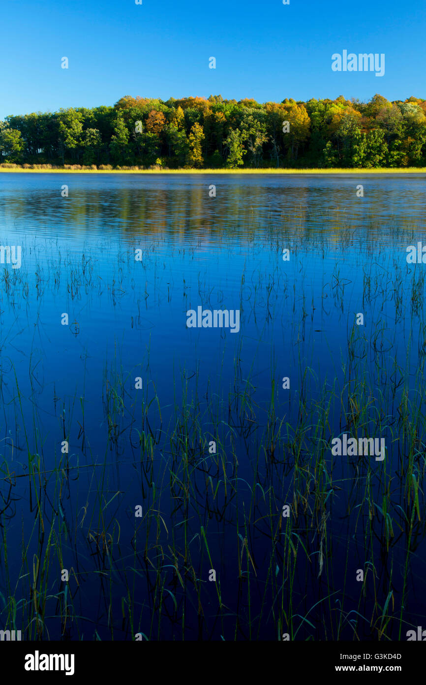 Mandy Lake, Rice Lake National Wildlife Refuge, Minnesota Stock Photo