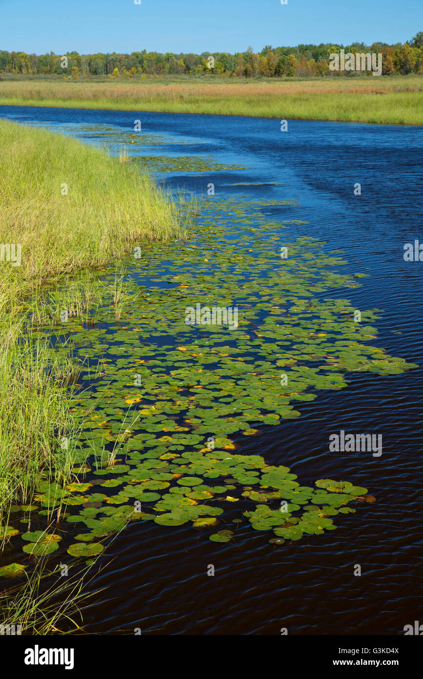 Rice River, Rice Lake National Wildlife Refuge, Minnesota Stock Photo