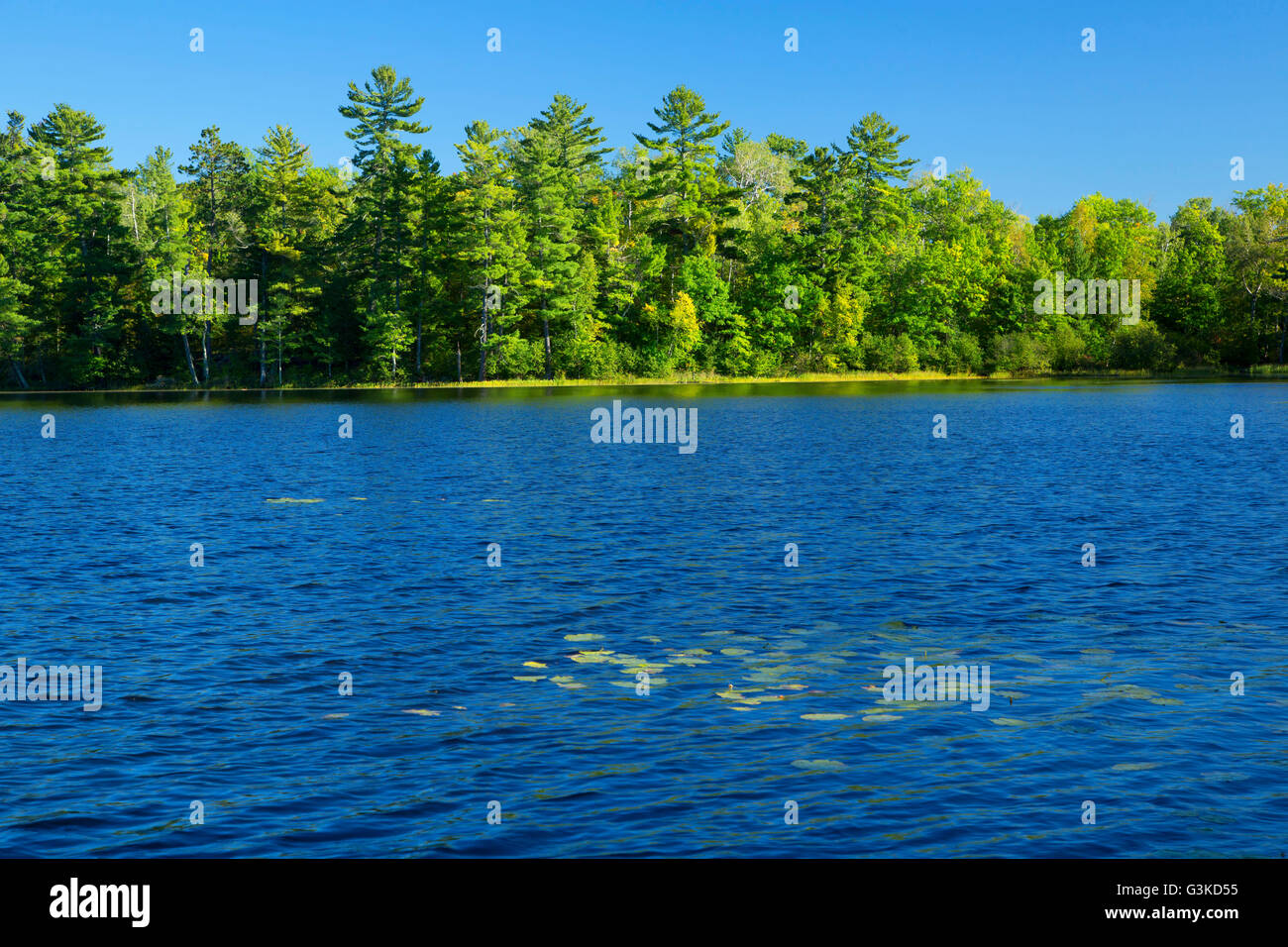 Lake Shumway, Savanna Portage State Park, Minnesota Stock Photo Alamy