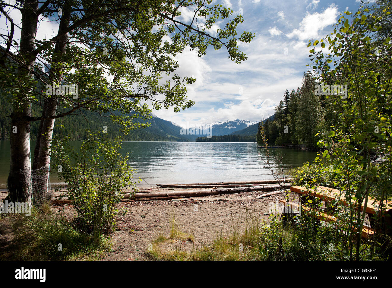 Birkenhead Provincial Park, north of Pemberton, British Columbia, Canada. Stock Photo