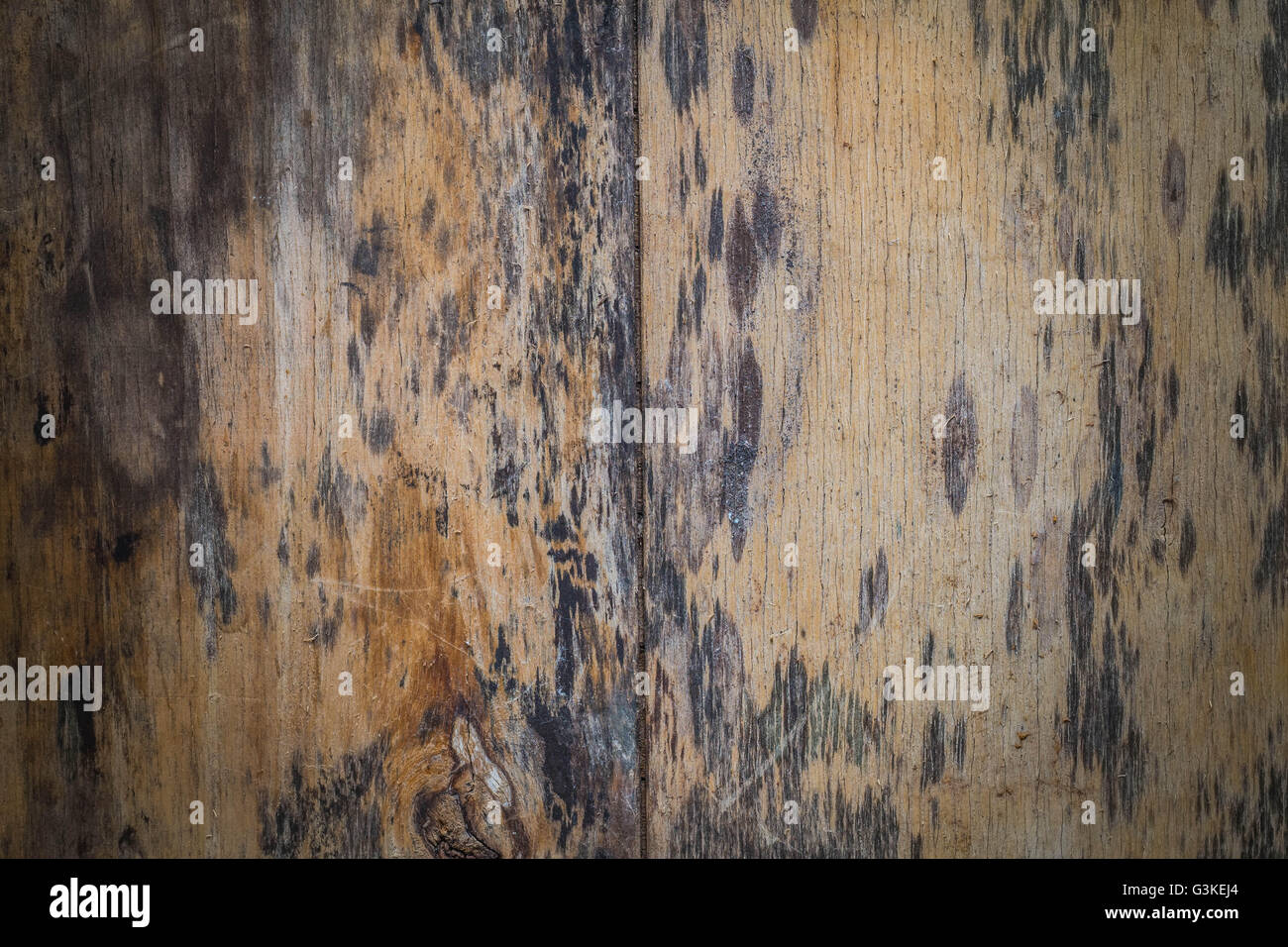 Old Wood With Black Patches Of Mold And Cracks Of Wood Stock Photo