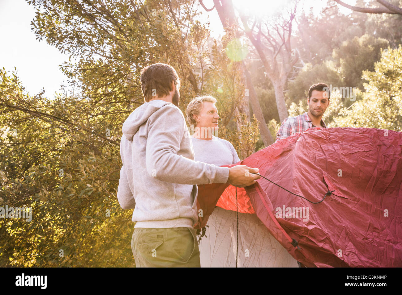 Two men erecting dome tent in forest, Deer Park, Cape Town, South Africa Stock Photo