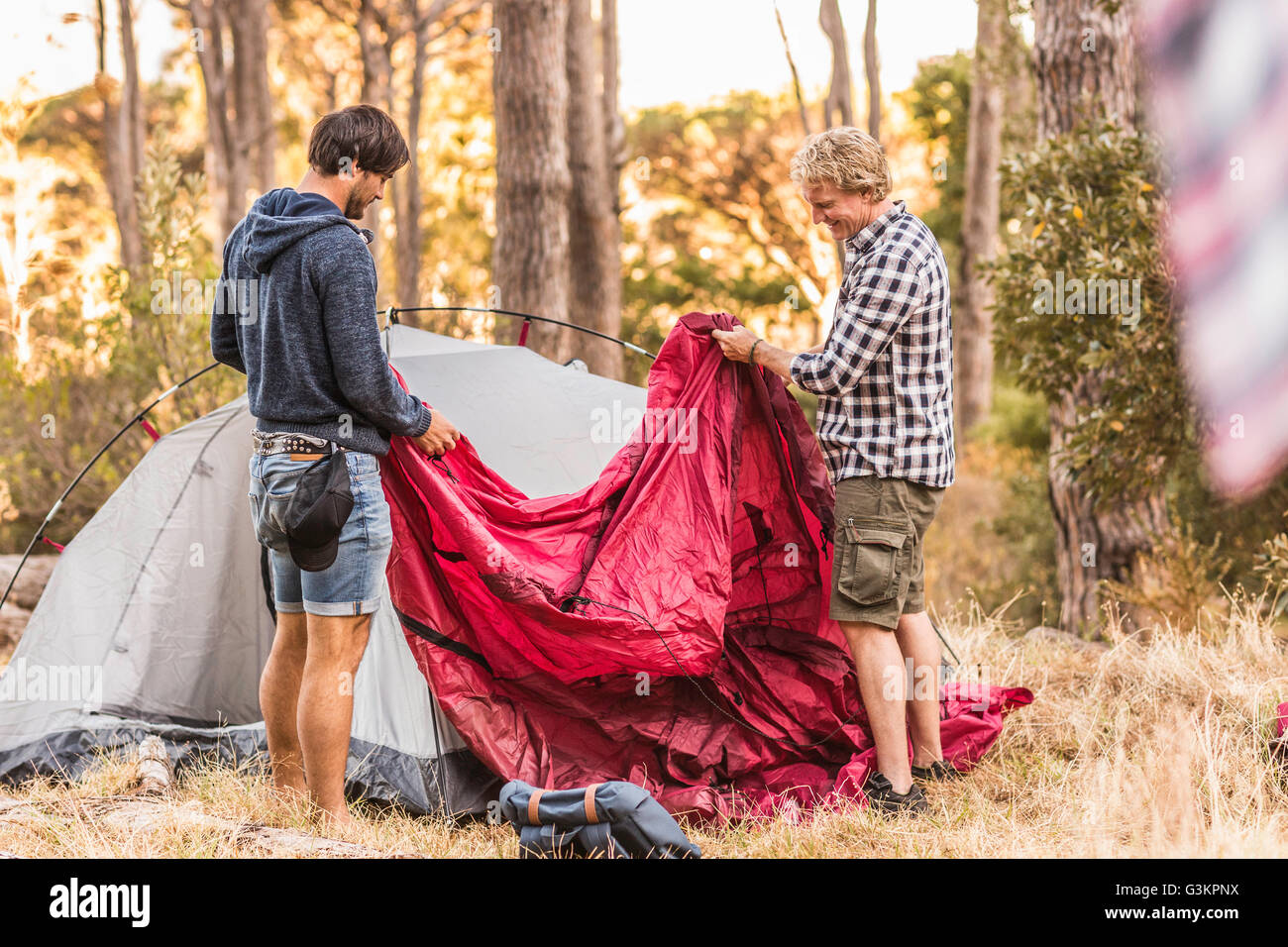 Two men concentrating on putting up tent in forest, Deer Park, Cape Town, South Africa Stock Photo