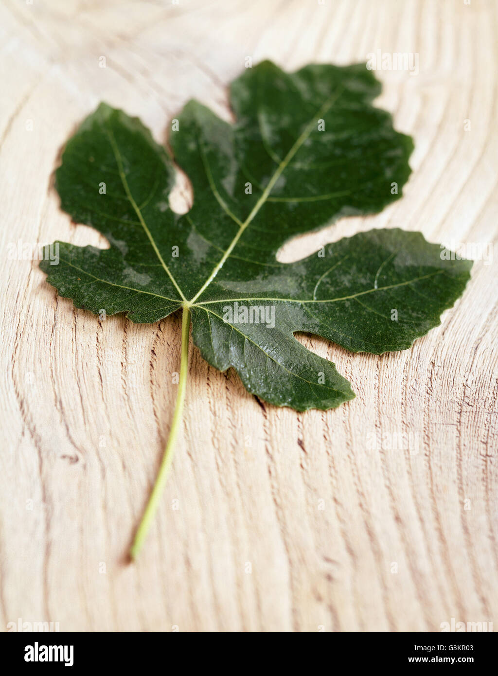 Leaf surface close up hi-res stock photography and images - Alamy