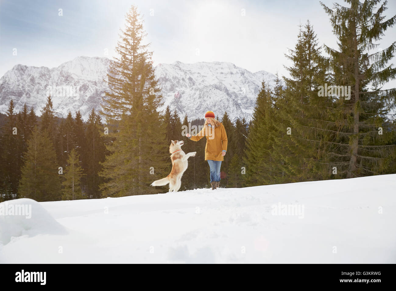 Woman playing with husky in snow covered landscape, Elmau, Bavaria, Germany Stock Photo