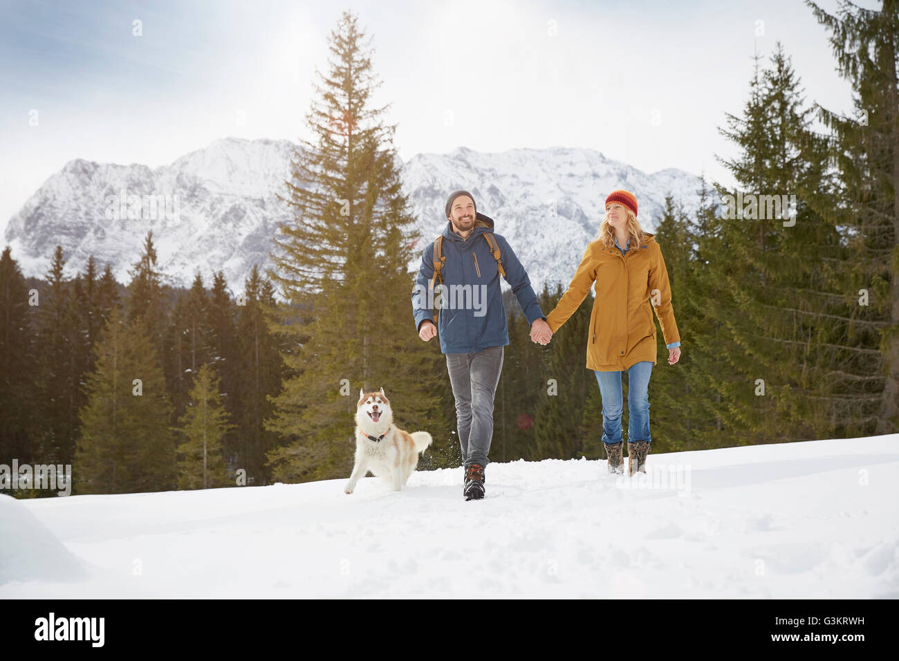 Couple walking husky in snow covered landscape, Elmau, Bavaria, Germany Stock Photo