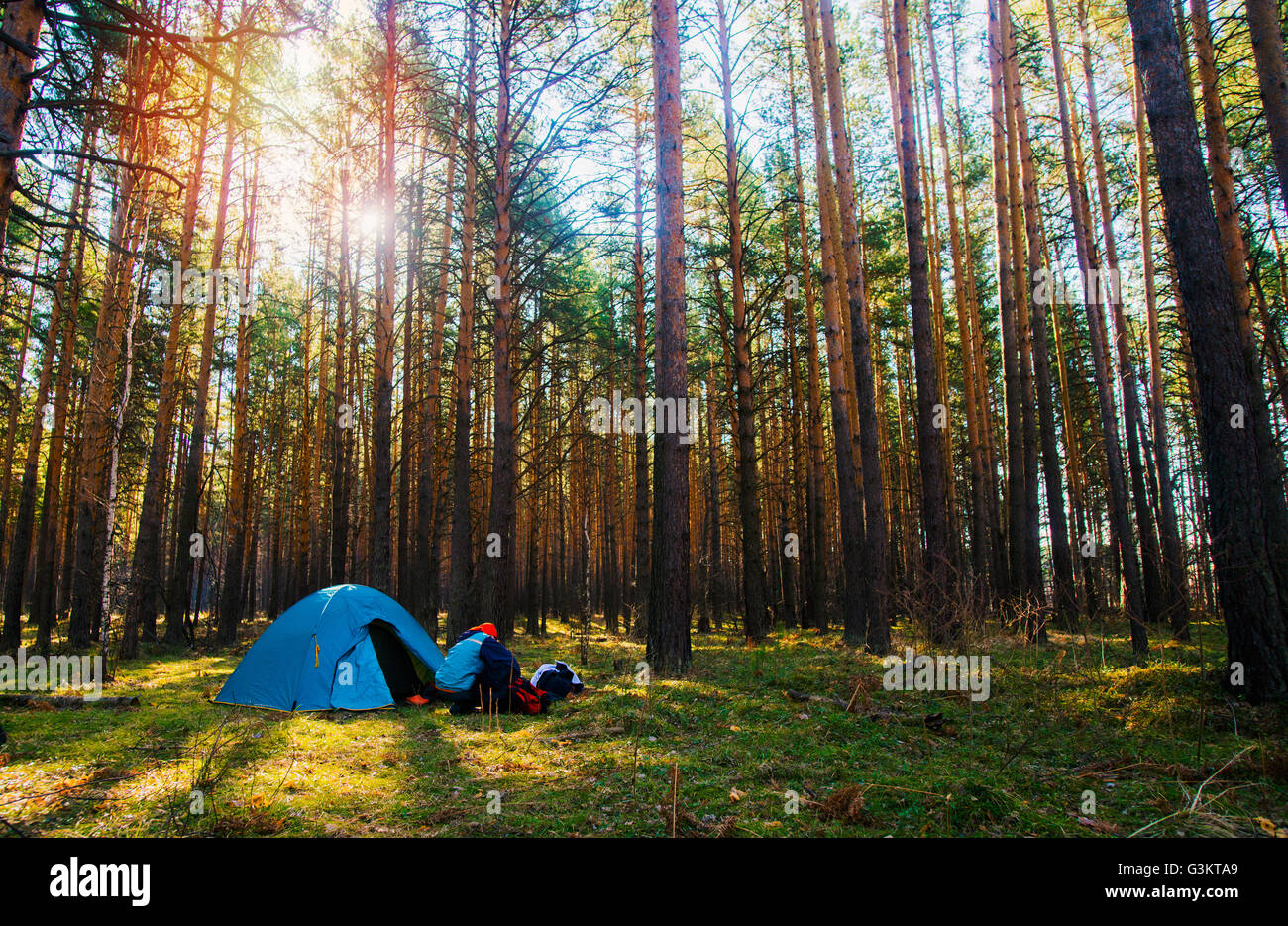 Woman by tent pitched in forest Stock Photo